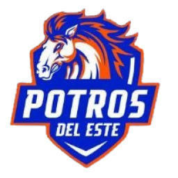 巴拿馬阿連扎后備隊