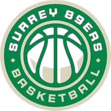 布里斯托爾學院